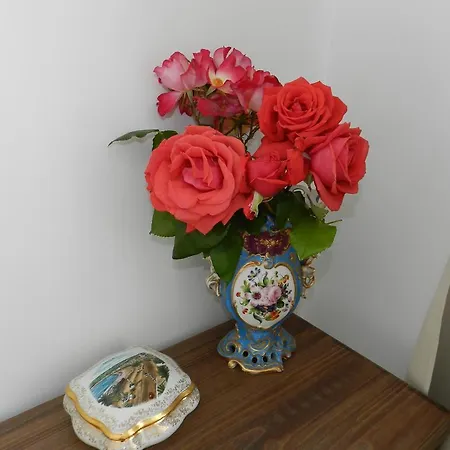 Apartman Studio In Josephine