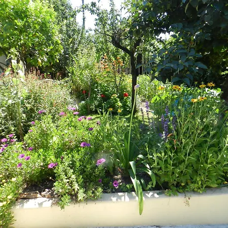 Studio In Josephine Appartamento Nizza